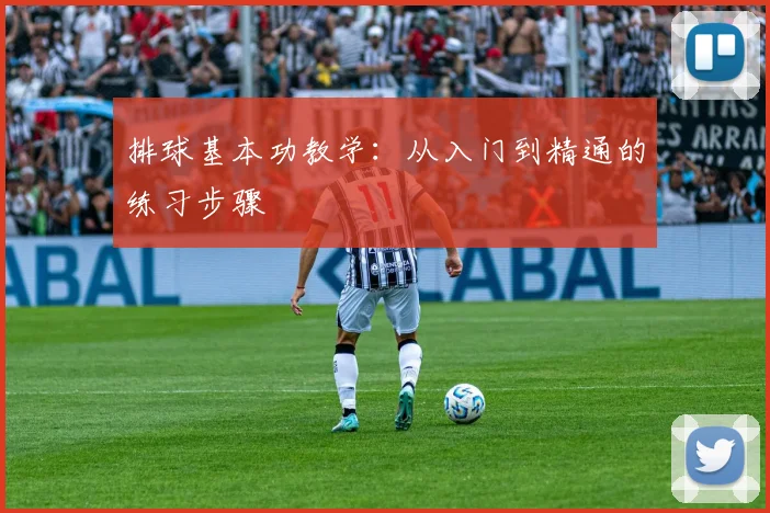 排球基本功教学：从入门到精通的练习步骤